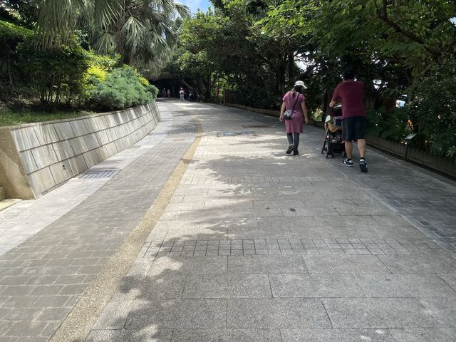 野柳地質公園 課本上的那顆女王頭呈現在面前 