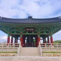 경주 필름자판기 필름로그 🎞