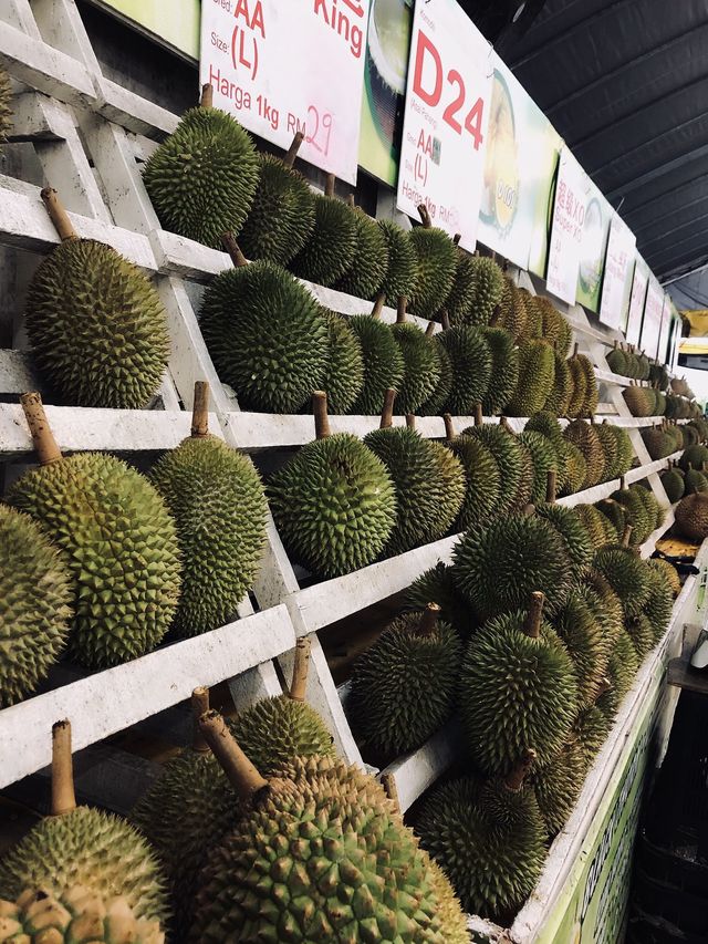; The Durian Hunting at Selangor.🍃
