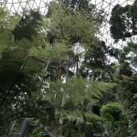 Singapore #1 - Changi Airport Jewel