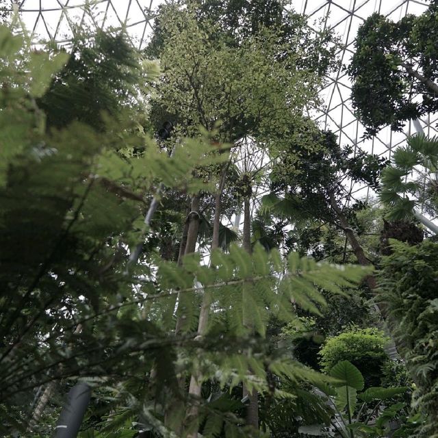 Singapore #1 - Changi Airport Jewel