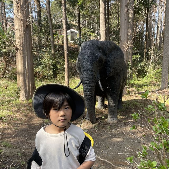 金沢動物園！大きな滑り台の公園もあるよ！
