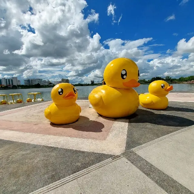 หนองประจักษ์ สวนสาธารณะขนาดใหญ่กลางเมืองอุดร