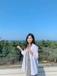 [속초] 바로앞에 속초 바다가있는 속초 보사노바 카페