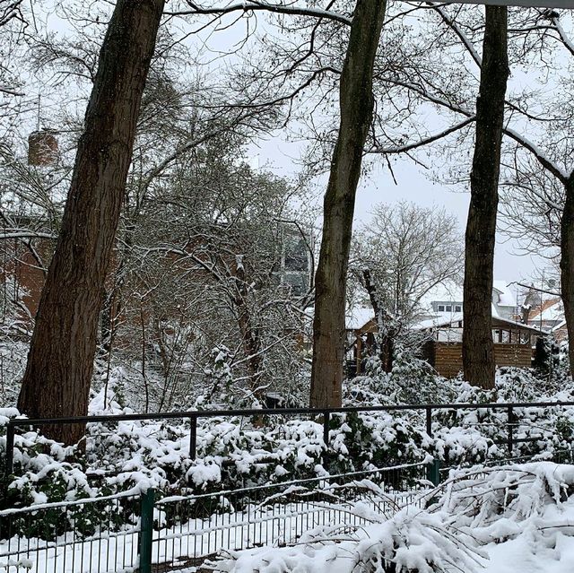 Gottingen Old Town