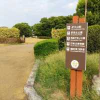 兵庫県の播磨町郷土資料館は古代のことばが聞ける