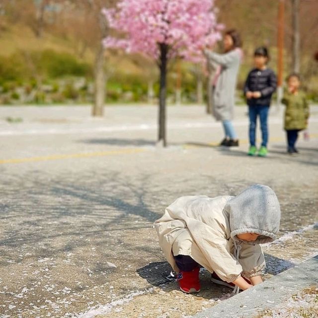 해인사