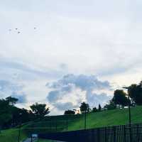 Sky View in Luxus Hills Park/AMK Linear Park