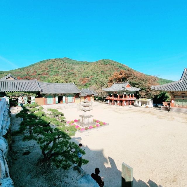 금정산 정상에 오르다!