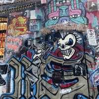 hoiser lane 
