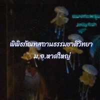 กำเงิน20฿ เดินเล่นที่มิวเซียม หาดใหญ่