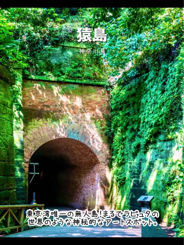 行ってよかった♡おすすめアートな島7選【島旅】