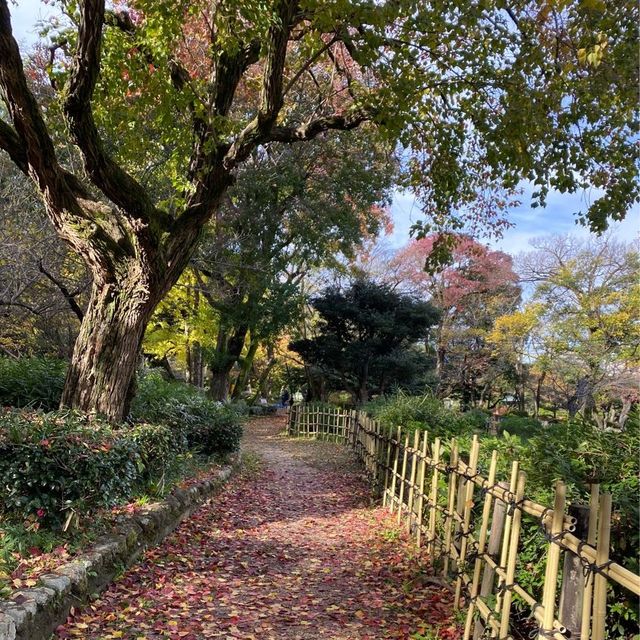 名古屋人氣靚景鶴舞公園