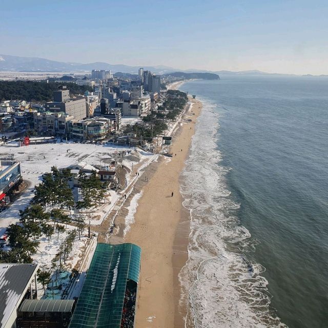 대천해수욕장에서 걸어서 10분이면 대천항 수산시장이다.
