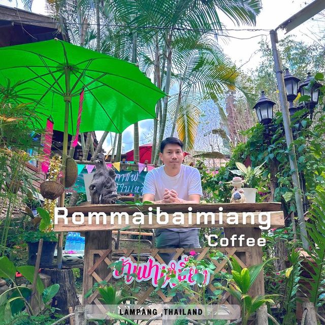 กาแฟร่มไม้ใบเหมี้ยง  ร้านกาแฟเล็กๆ ในป่าเหมี้ยง