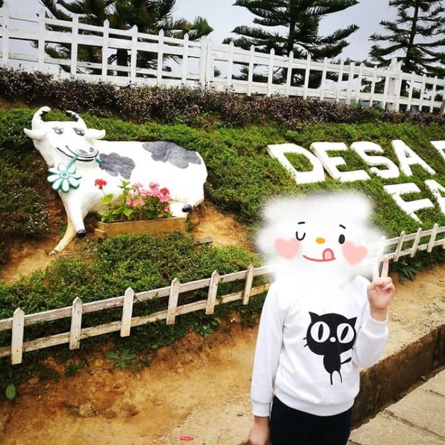 擁抱🫂大自然🎍的美💕