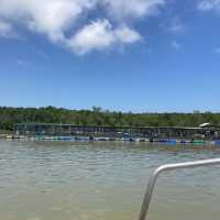 A Day in Kukup Island National Park