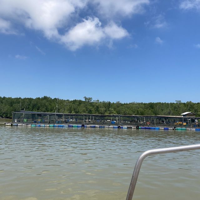 A Day in Kukup Island National Park