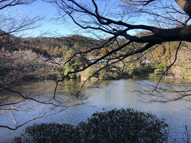 【京都・金閣寺エリア】龍安寺 石庭