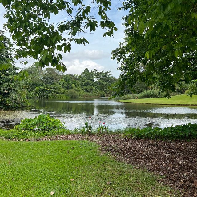 Singapore Botanic Gardens