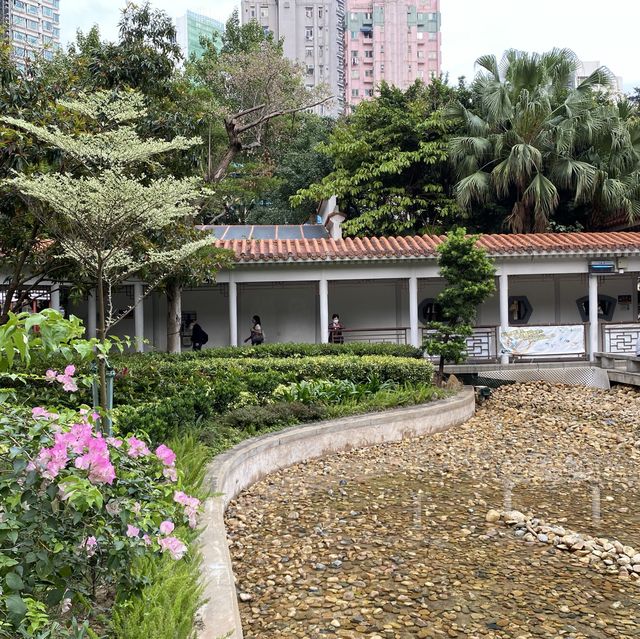 大角咀中式公園賞花｜漸變色橙黃花、烏龜、中式涼亭