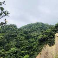 Xiaozishan Trail 孝子山步道🐾爬爬山呼吸新鮮空氣🌳新北平溪