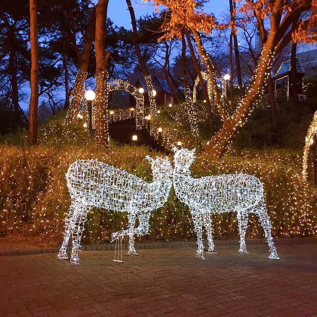야간에 놀기 좋은곳 대구 이월드 🎠