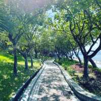 動起來！港島東太陽與維港陪伴的海濱公園