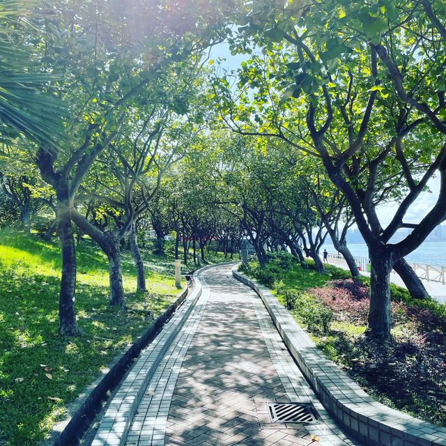 動起來！港島東太陽與維港陪伴的海濱公園