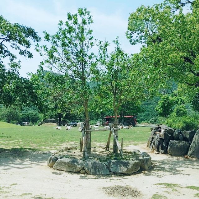 すぐ近くに野生動物！ドライブスルーサファリ　姫路セントラル・パーク