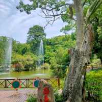 位於台中山中的東勢林場遊樂園