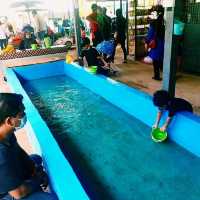 Rabbit Land in jengka pahang