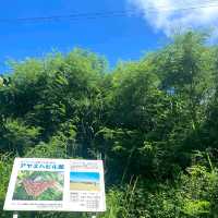 モスラ！