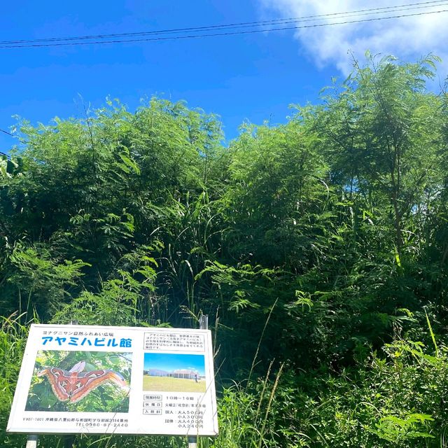 モスラ！
