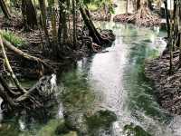 Pa Phru Tha Pom Khlong Song Nam ท่าปอมคลองสองน้ำ 