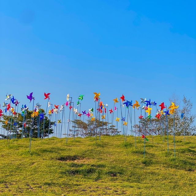 파주 당일 피크닉 추천 📍임진각 평화누리공원