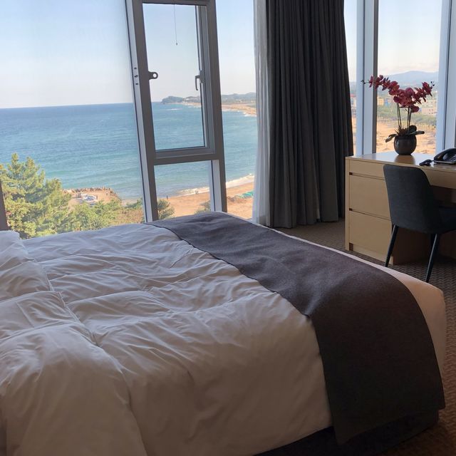 바다전망 예술 호텔