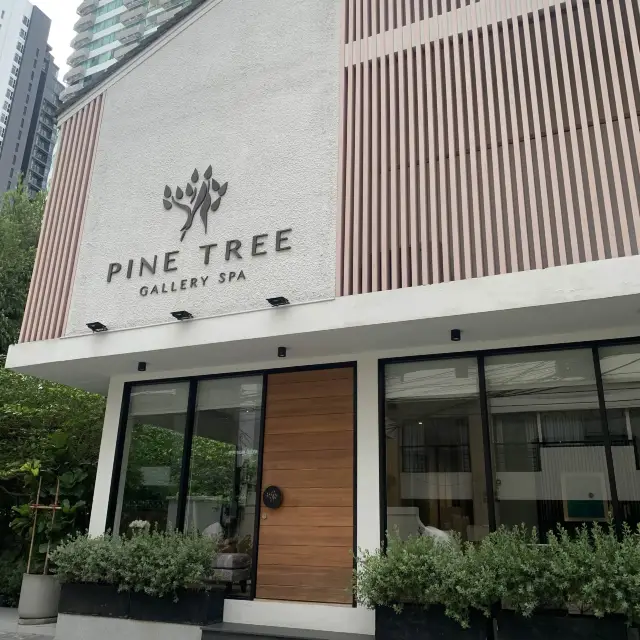 📍曼谷 Spa。Pine Tree Gallery Spa。
