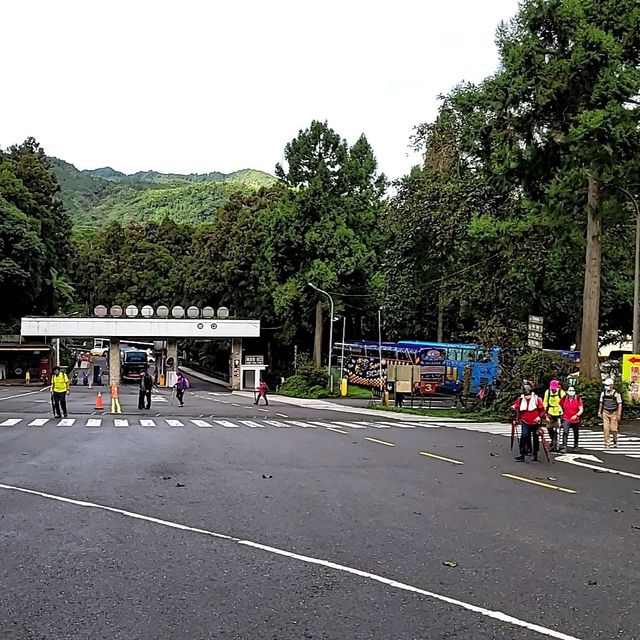溪頭 