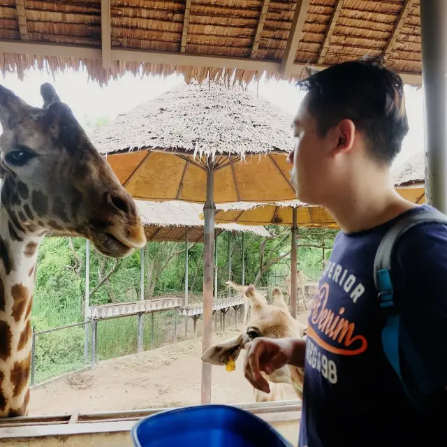 Get close to Animals in Bangkok