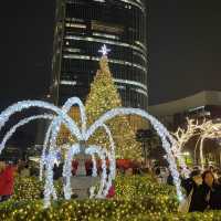 몽환적인 롯데월드타워 크리스마스 샤롯데가든🎄
