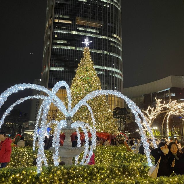 몽환적인 롯데월드타워 크리스마스 샤롯데가든🎄