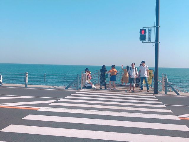 灌籃高手粉絲必去景點🏀