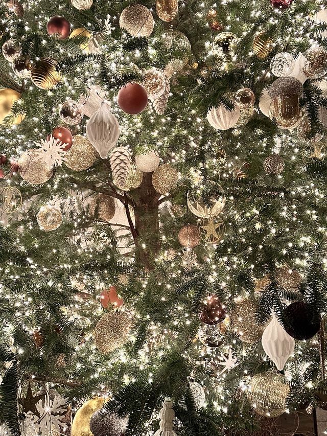 서울에서 제일 예쁜 트리가 있는 그랜드 하얏트🎄