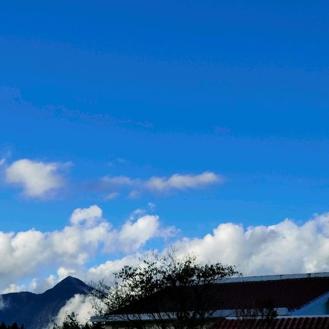世外桃源-福壽山農場