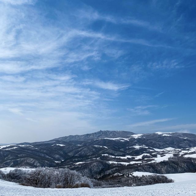 눈오면 달려가야 할 곳 ! 대관령 삼양목장 🌨