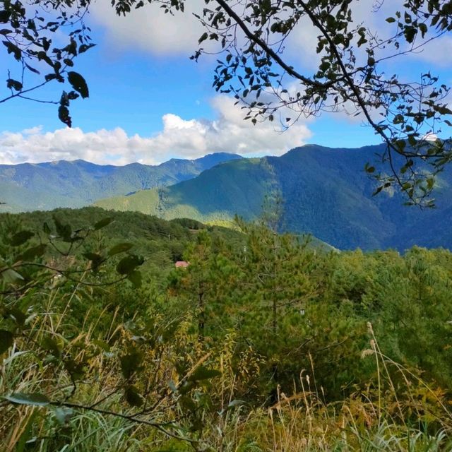 福壽山農場-群山觀景台