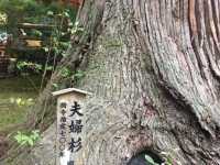 旅遊推介 九州站-阿蘇山