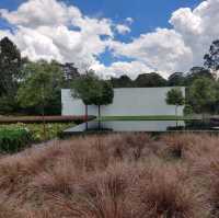 A Must See ~ Award-Winning Hamilton Gardens