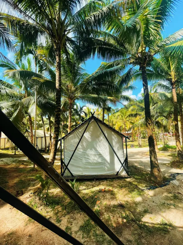 Camping Glamping 🏕🌲